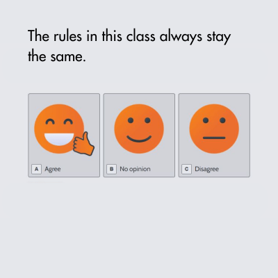Model for Great Teaching survey (Version B)
